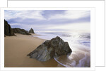 Beach at Mimosa Rocks National Park in Australia by Anonymous