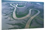 Meandering river in the Kimberley Region of Western Australia, aerial view by Anonymous
