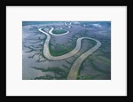 Meandering river in the Kimberley Region of Western Australia, aerial view by Anonymous