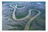 Meandering river in the Kimberley Region of Western Australia, aerial view by Anonymous