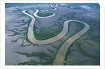 Meandering river in the Kimberley Region of Western Australia, aerial view by Anonymous