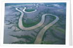 Meandering river in the Kimberley Region of Western Australia, aerial view by Anonymous