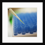 Test Tube Experiment by Corbis