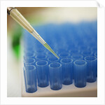 Test Tube Experiment by Anonymous