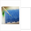 Test Tube Experiment by Anonymous