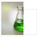 Flask by Anonymous