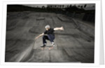 Skateboarder Performing Tricks by Anonymous