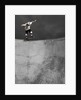 Skateboarder Performing Tricks by Anonymous
