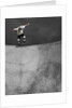 Skateboarder Performing Tricks by Anonymous