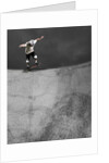 Skateboarder Performing Tricks by Anonymous
