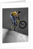 BMX Biker Performing Tricks by Anonymous