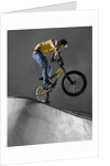 BMX Biker Performing Tricks by Anonymous