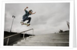 Skateboarder Performing Tricks by Anonymous
