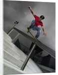 Skateboarder Performing Tricks by Anonymous