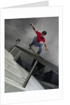 Skateboarder Performing Tricks by Anonymous