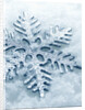 Snowflake Shaped Christmas Ornament Lying in the Snow by Anonymous