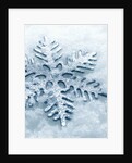 Snowflake Shaped Christmas Ornament Lying in the Snow by Anonymous