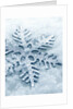 Snowflake Shaped Christmas Ornament Lying in the Snow by Anonymous