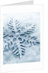 Snowflake Shaped Christmas Ornament Lying in the Snow by Anonymous