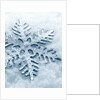 Snowflake Shaped Christmas Ornament Lying in the Snow by Anonymous
