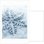 Snowflake Shaped Christmas Ornament Lying in the Snow by Anonymous