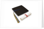 Mortarboard and Diploma by Anonymous