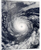 Hurricane Daniel by Anonymous