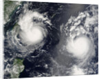 Typhoons Saomai and Bopha by Anonymous