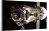 Space Vehicle Departing by Anonymous