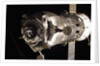 Space Vehicle Departing by Anonymous