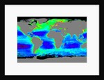 Global Chlorophyll Concentrations by Anonymous