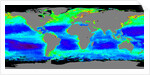 Global Chlorophyll Concentrations by Anonymous