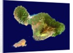 Maui and Kahoolawe by Anonymous