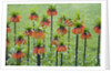 Orange Mozart Fritillaria Imperialis by Anonymous