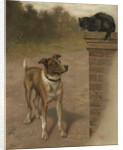 Illustration of a Dog and Cat by William Weekes