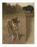 Illustration of a Dog and Cat by William Weekes