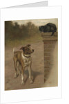 Illustration of a Dog and Cat by William Weekes