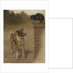 Illustration of a Dog and Cat by William Weekes