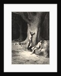 They Heard, and From His Presence Hid Themselves Among the Thickest Trees by Gustave Dore