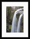 Whangerei Falls in Rainforest by Anonymous