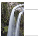 Whangerei Falls in Rainforest by Anonymous