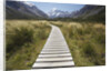 Wooden Path through Mount Cook National Park by Anonymous