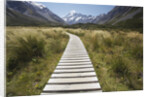 Wooden Path through Mount Cook National Park by Anonymous