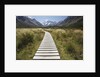 Wooden Path through Mount Cook National Park by Anonymous