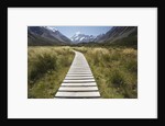 Wooden Path through Mount Cook National Park by Anonymous