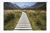 Wooden Path through Mount Cook National Park by Anonymous
