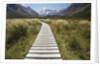 Wooden Path through Mount Cook National Park by Anonymous