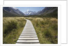 Wooden Path through Mount Cook National Park by Anonymous