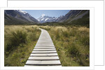 Wooden Path through Mount Cook National Park by Anonymous