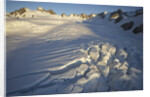 Fox Glacier by Anonymous